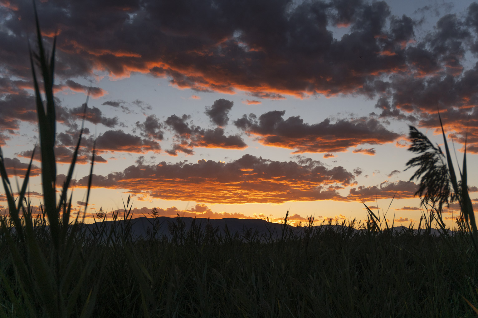 A brilliant sunset above a sea of tall grass